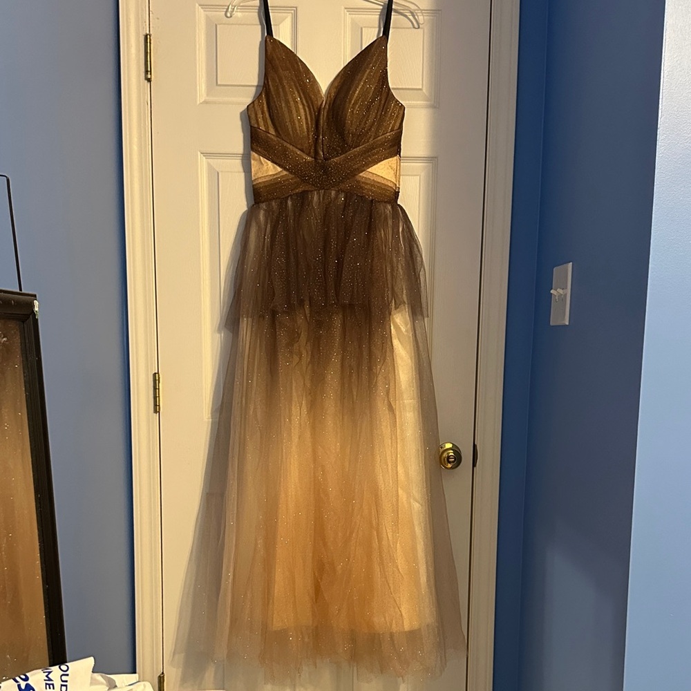 Elegant Brown and Cream Ombre Tulle Gown